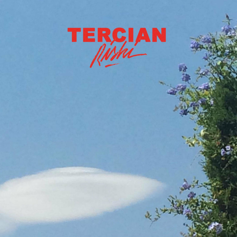 Riski Riski - 26 / Tercian -  - Vertigo