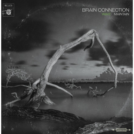 Brain Connection 1978 - Wave Maintain - Contrebande Records
