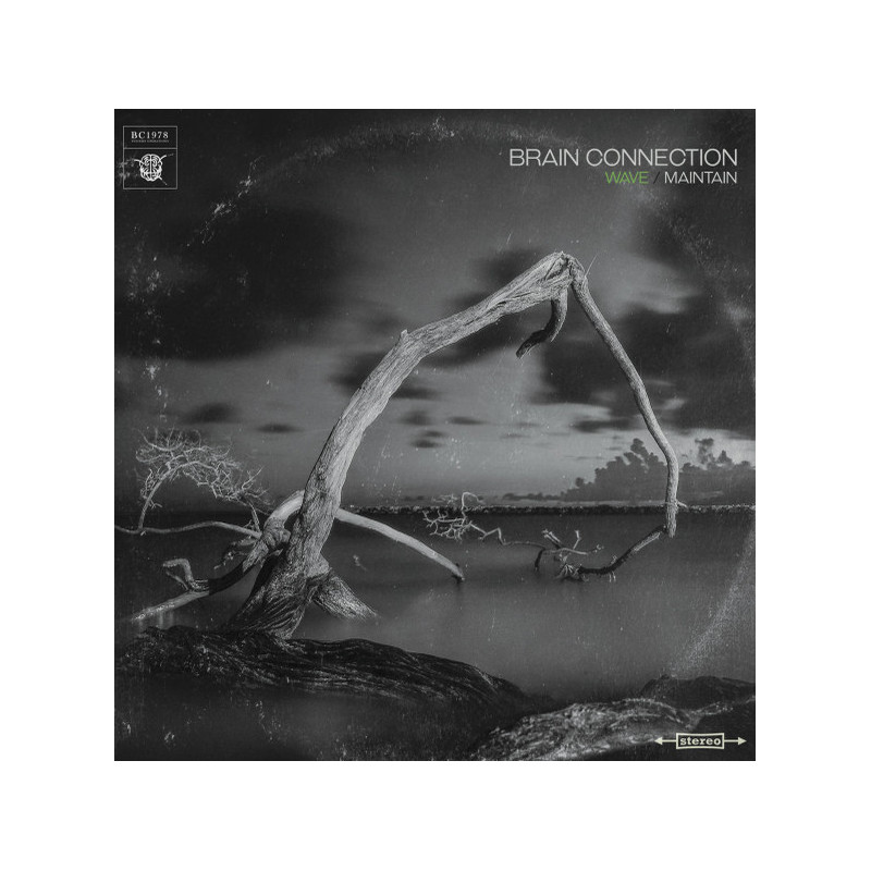 Brain Connection 1978 Brain Connection 1978 - Wave Maintain -  - Vertigo