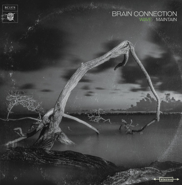 Brain Connection 1978 - Wave Maintain - Contrebande Records