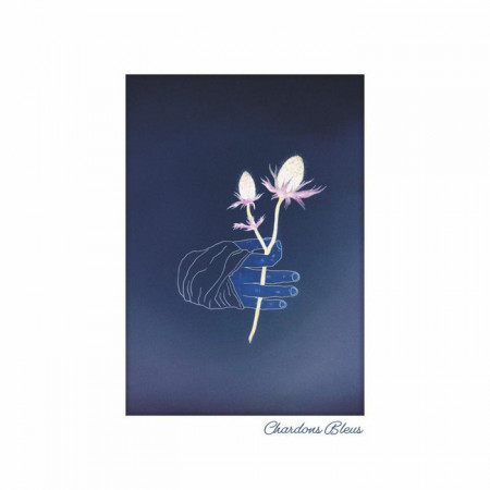 Lucio Bukowski & Mani Deïz - Chardons Bleus - Contrebande Records