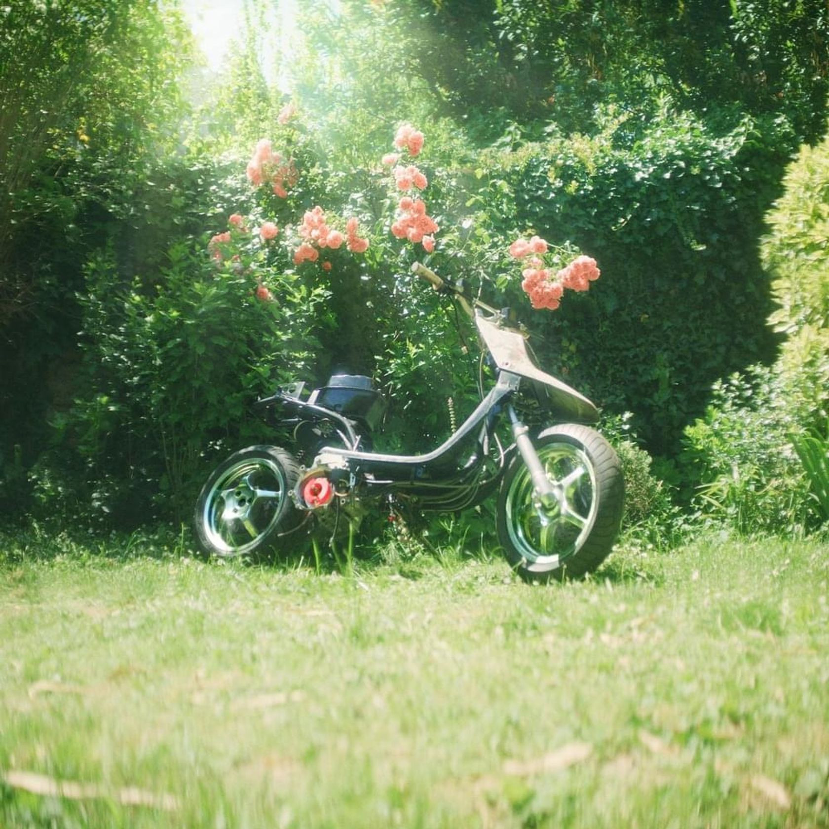 Myth Syzer - Poison - Contrebande Records