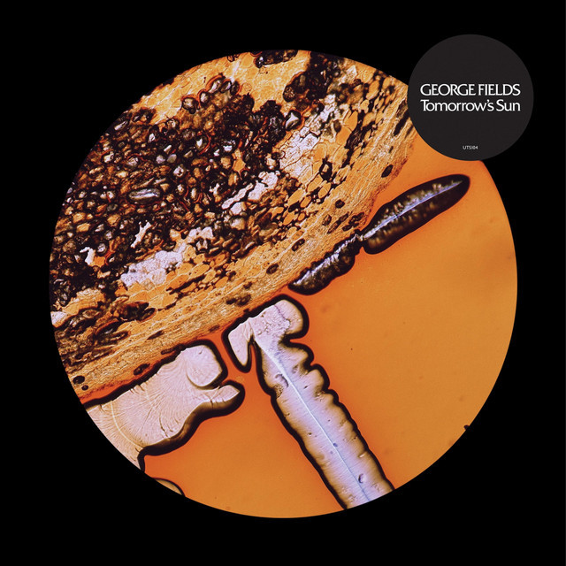 George Fields - Tommorow's Sun - Contrebande Records